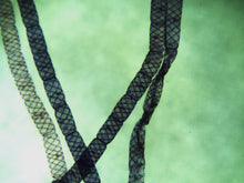 Cargar imagen en el visor de la galería, MICROSCOPIO BINOCULAR DIGITAL AVANZADO CON CÁMARA INTEGRADA REDLINE EISCO